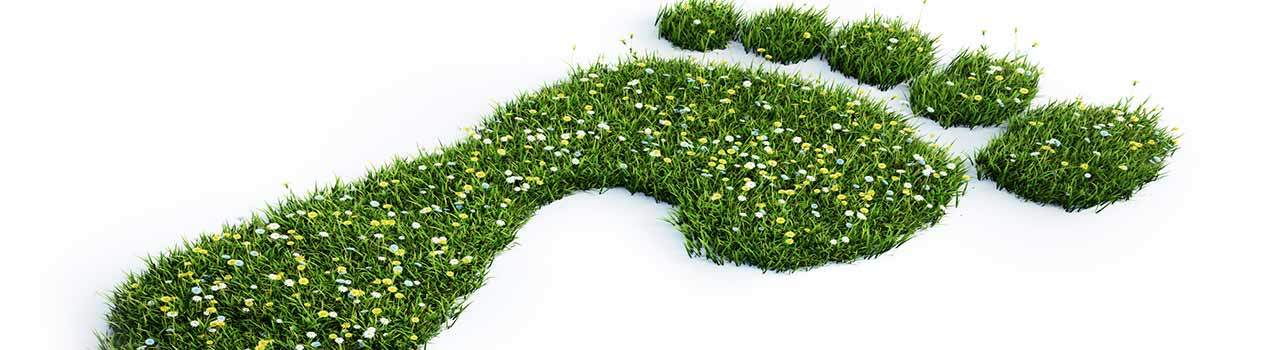 image of footprint made out of grass to symbolize carbon footprint
